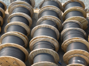 Se tlayekankilia tlen kipiaya ika tomachtij ika tomin: Tikasikamatikan, tiktlapejpeniskej niman titlalnamiki.